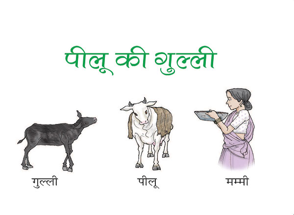 गुल्‍ली, पीलू, मम्‍मी